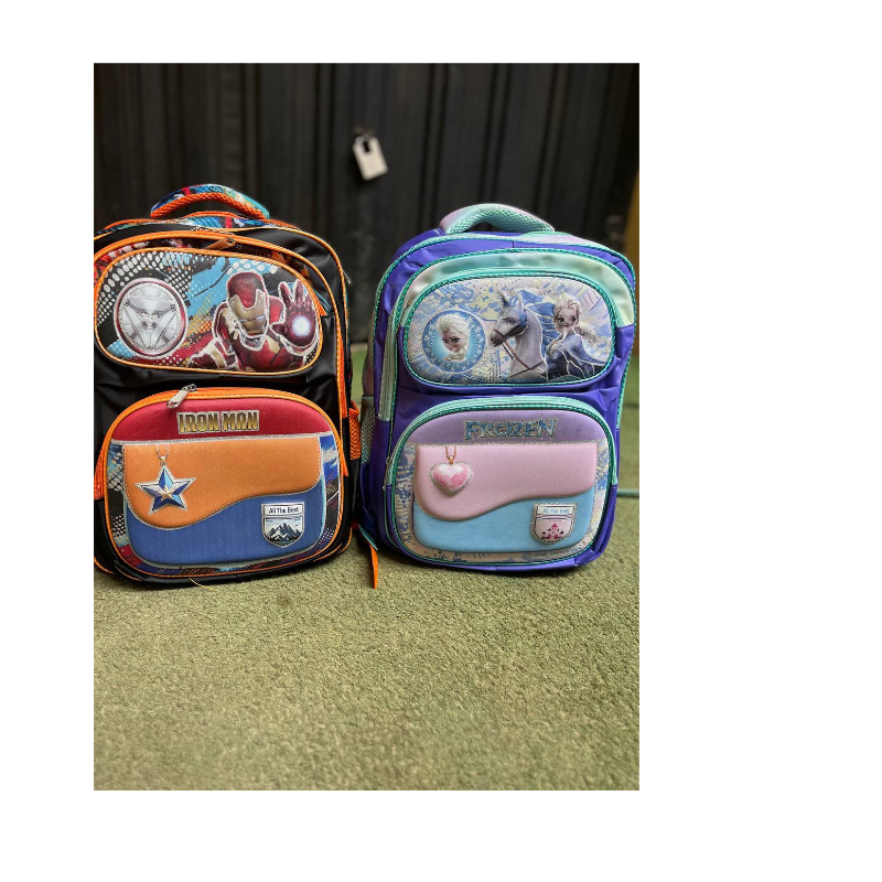 Lz2604 Quality School Bag