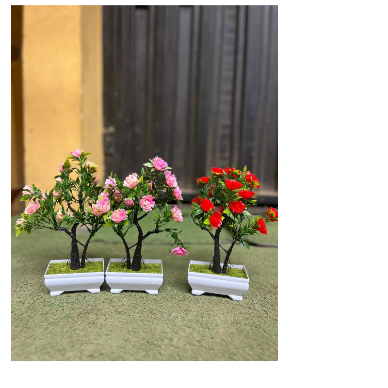 Shape Bottom Flower With Vase