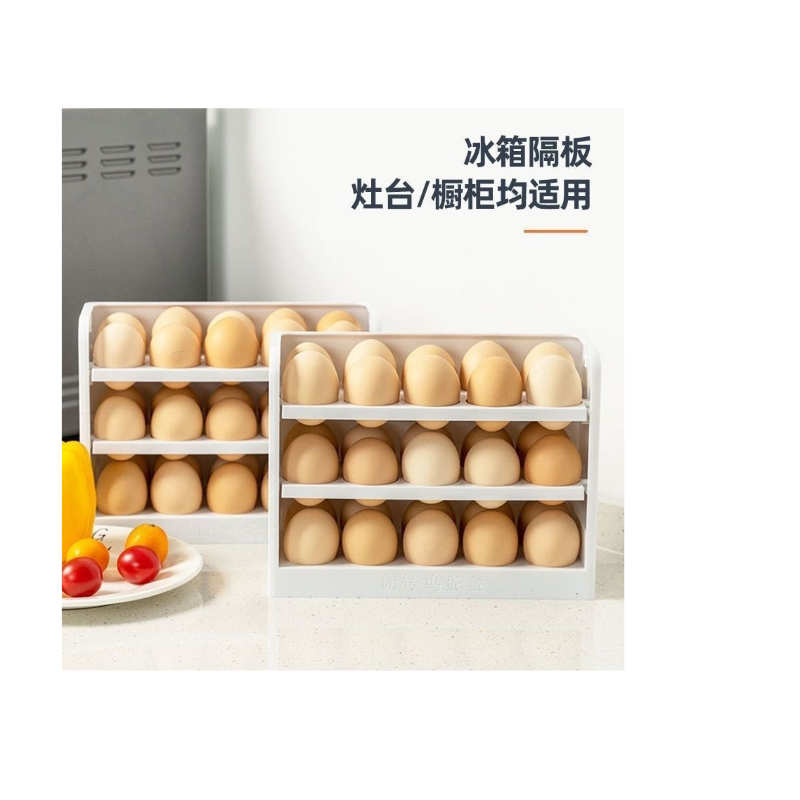 Egg Storage Box