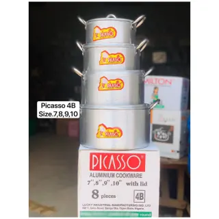 Picasso 4b