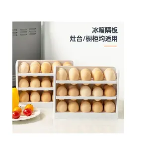 Egg Storage Box