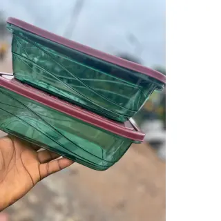 Crystal Food Container Big