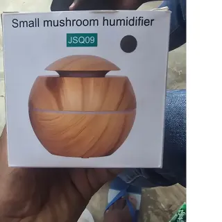 Small Mushroom Humidifier