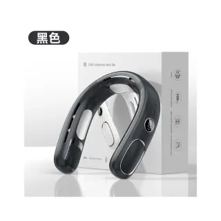 Digital Neck Fan