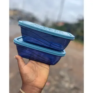 Crystal Food Container Medium