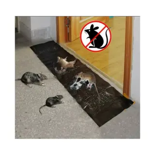 Rat Gum