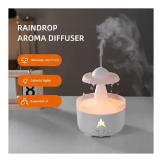 Raindrop Humidifier