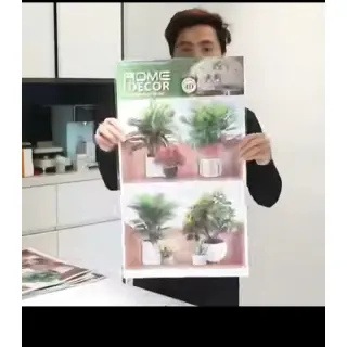 2in1 Wall Decor