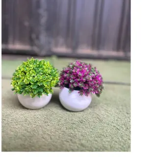 Small Round Bottom Flower With Vase