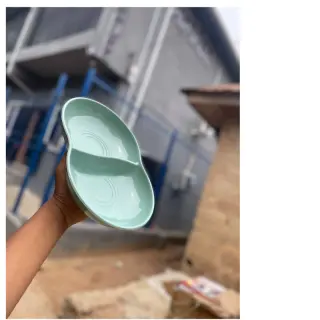 8017 Double Portion Plate/6pcs