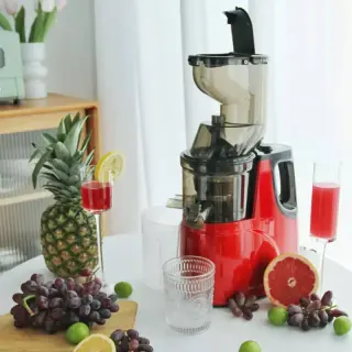 Skg Slow Juicer
