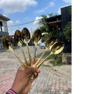 Sx9010...6pcs Gold Spoon