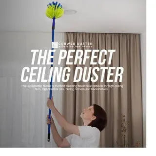 Cobweb Brush