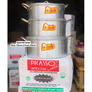 Picasso Special Large