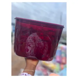 Food Storage Box