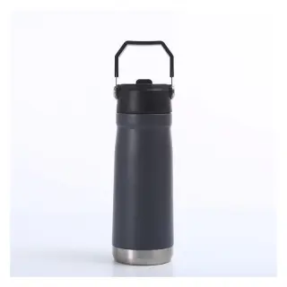 650ml Flip Straw Bottle