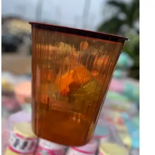 Crystal Multipurpose Bin