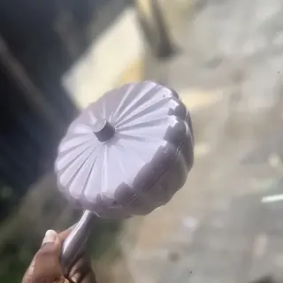 Pumpkin Plate