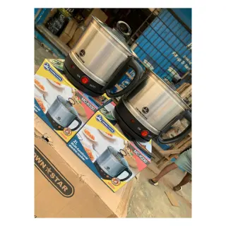 Masterchef 2 Liters Electric Cooker