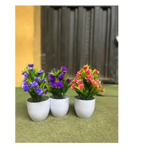 2color Flower With Vase